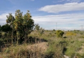Terreno no urbanizable en venta en la España, Murcia, ref: TR328360 foto