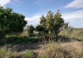 Terreno no urbanizable en venta en la España, Murcia, ref: TR328360 foto
