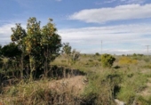 Terreno no urbanizable en venta en la España, Murcia, ref: TR328360 foto