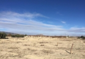 Terreno no urbanizable en venta en la España, Villanueva del Río Segura, ref: TR255634 foto