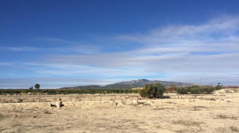 Murcia - Villanueva del Río Segura - 2236m2
