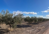 Terreno no urbanizable en venta en la España, Totana, ref: TR248187 foto