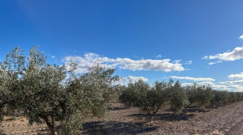 Murcia - Totana - 2236m2