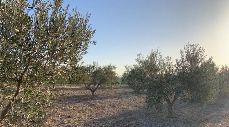 Murcia - Totana - 2236m2
