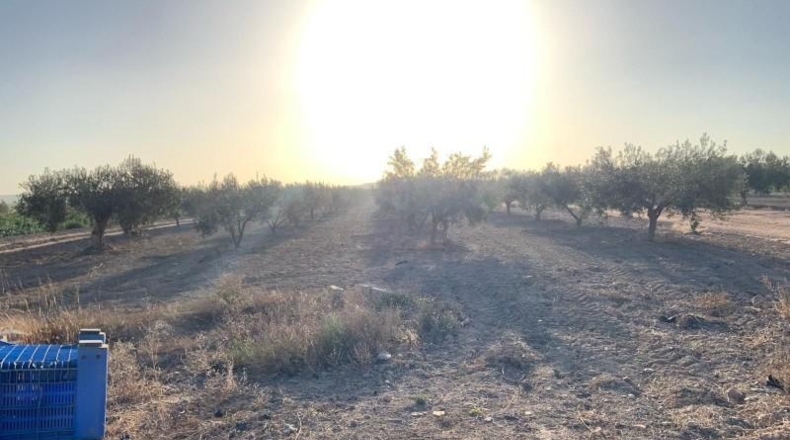 Murcia - Totana - 2236m2
