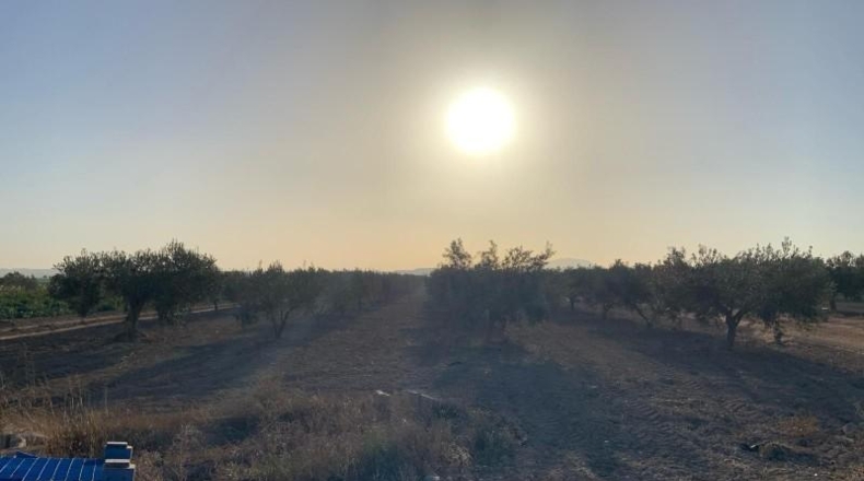 Murcia - Totana - 2236m2
