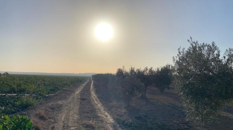Murcia - Totana - 2236m2