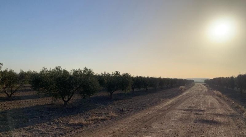 Murcia - Totana - 2236m2