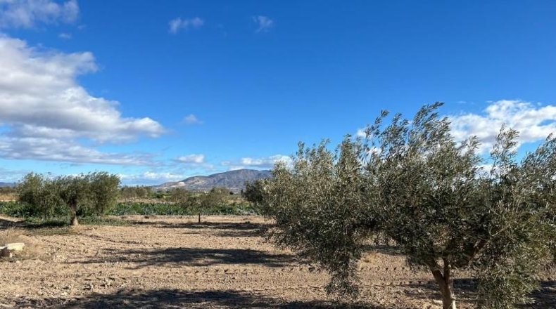 Murcia - Totana - 2236m2
