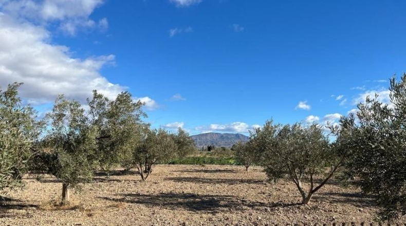 Murcia - Totana - 2236m2