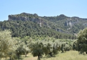 Xalet independent amb terreny en venda a la España, Vall-de-roures, ref.: TR326816 foto