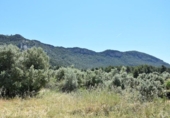 Xalet independent amb terreny en venda a la España, Vall-de-roures, ref.: TR326816 foto