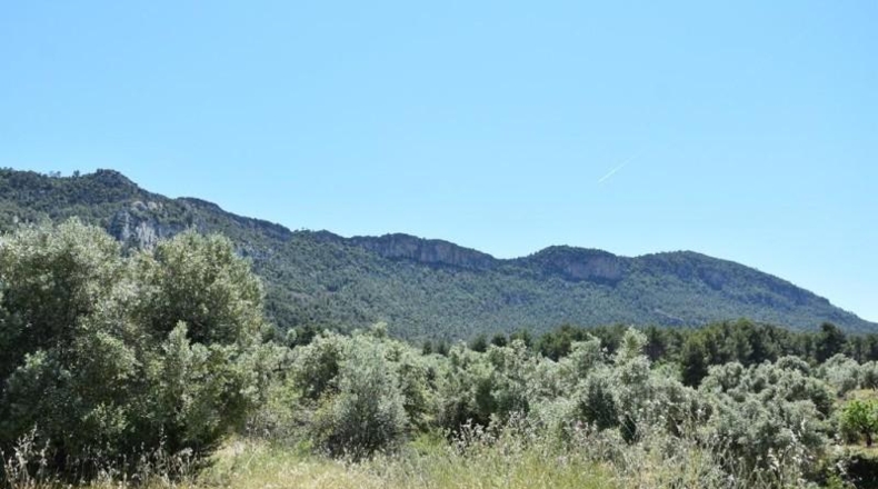 Teruel - Valderrobres - 31231m2