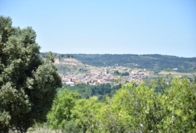 Foto 7