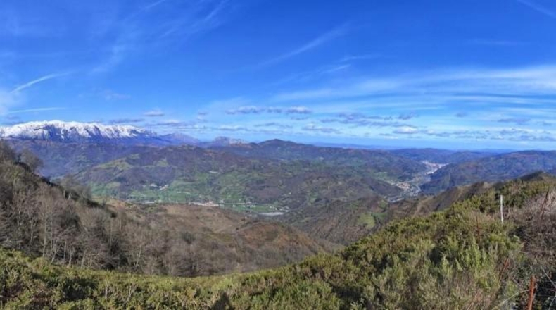 Asturias - Rozá - 11674m2