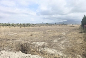 Aspe 3984&nbsp;m²