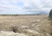 Terreno no urbanizable en venta en la España, Aspe, ref: TR412680 foto