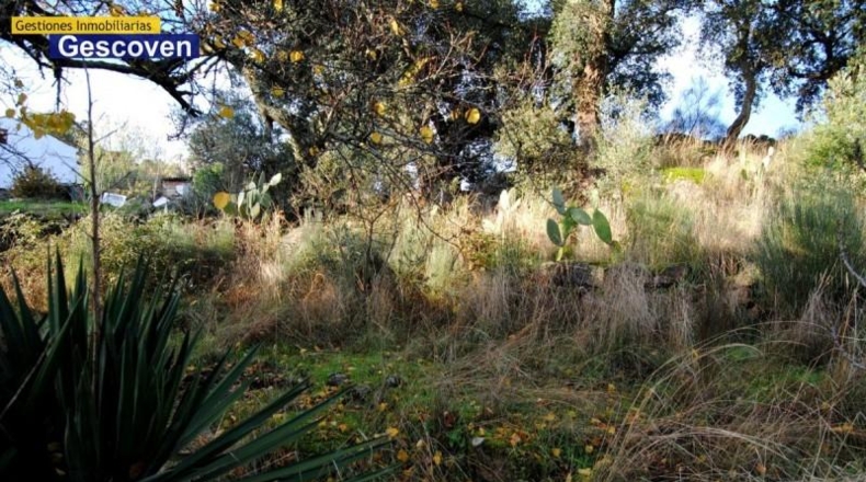 Cáceres - Valencia de Alcántara - 400m2