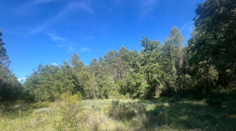 Teruel - Arens de Lledó - 12m2