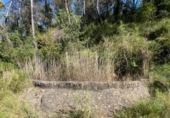Chalet independiente con terreno en venta en la España, Arens de Lledó, ref: TR409429 foto
