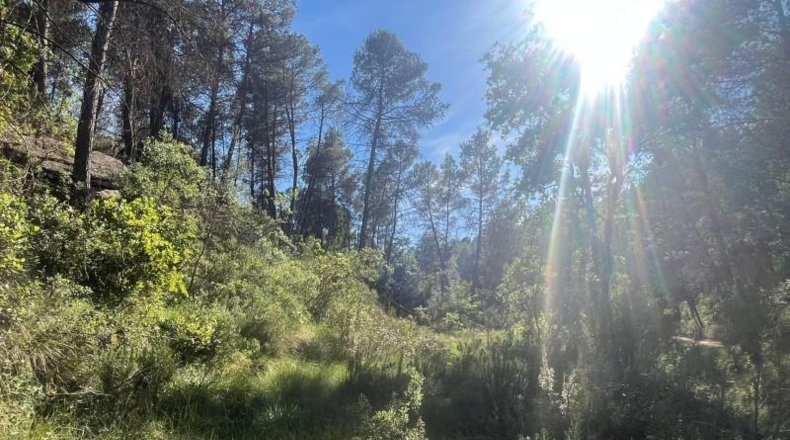 Teruel - Arens de Lledó - 12m2