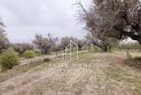 Sant Mateu 20673&nbsp;m²