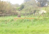 Non-developable land for sale on España, O Porriño, ref: TR113856 photo