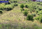 Country house with land for sale on España, San Román de Bembibre, ref: TR296387 photo
