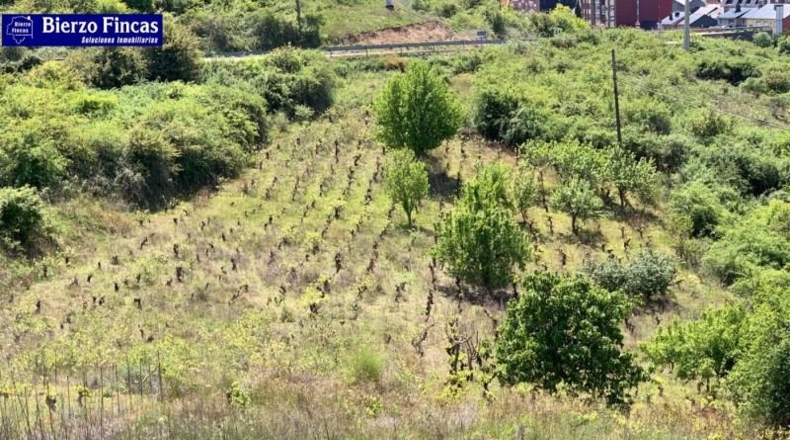 León - Bembibre - 1500m2