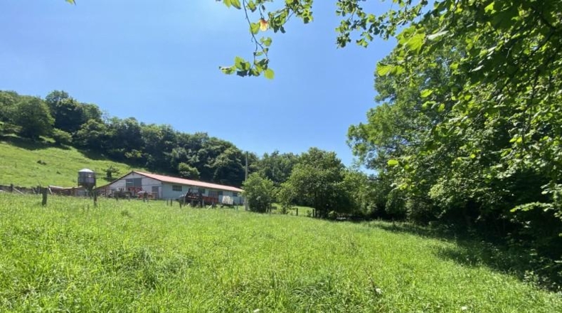 Asturias - Cangas de Onís - 1000m2