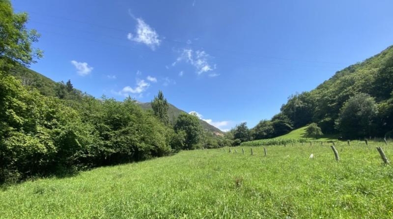 Asturias - Cangas de Onís - 1000m2