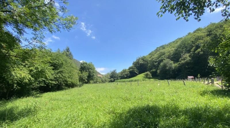 Asturias - Cangas de Onís - 1000m2