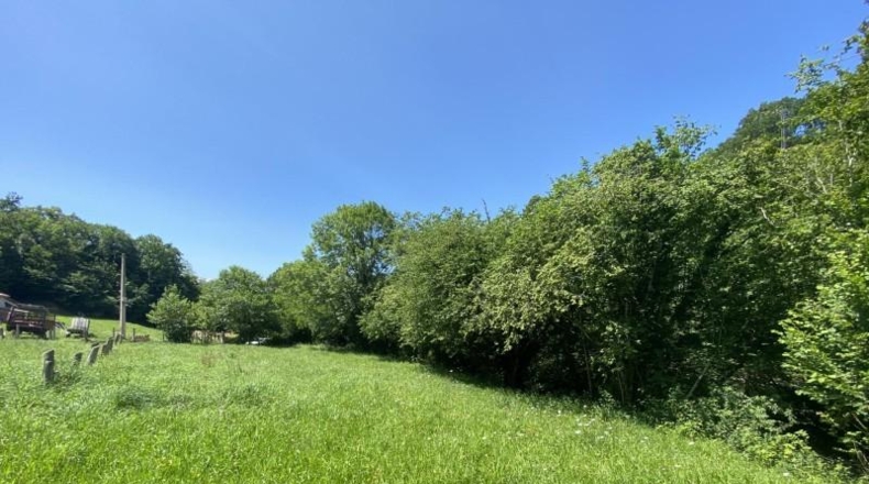 Asturias - Cangas de Onís - 1000m2