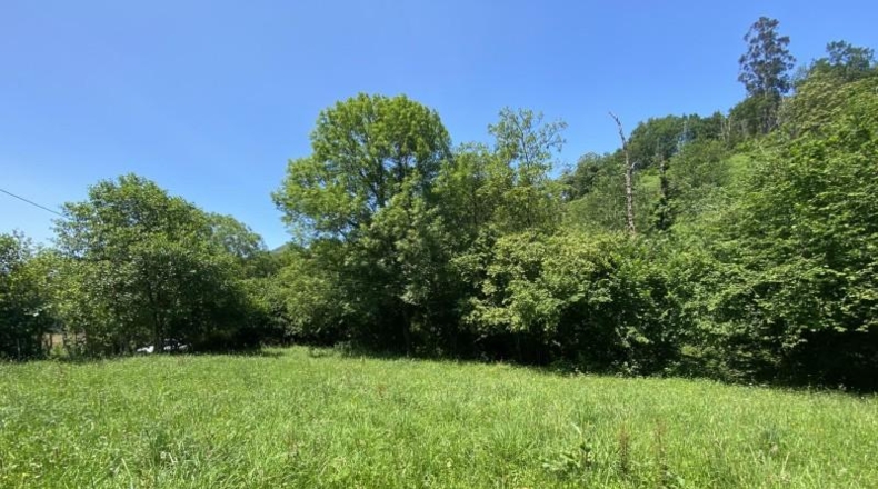 Asturias - Cangas de Onís - 1000m2