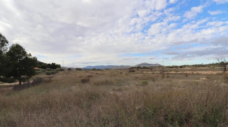 Caceres - Cáceres - 4500m2