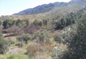Terreno no urbanizable en venta en la España, Calasparra, ref: TR119491 foto