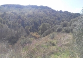 Terreno no urbanizable en venta en la España, Calasparra, ref: TR119491 foto
