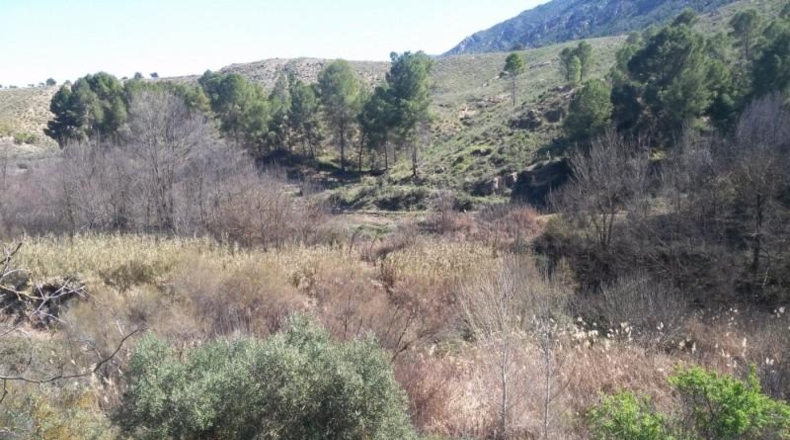 Múrcia - Calasparra - 6000m2