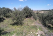 Terreno no urbanizable en venta en la España, Calasparra, ref: TR119491 foto