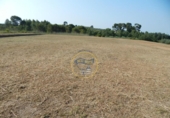 Terreno no urbanizable en venta en la España, Albaida, ref: TR123033 foto