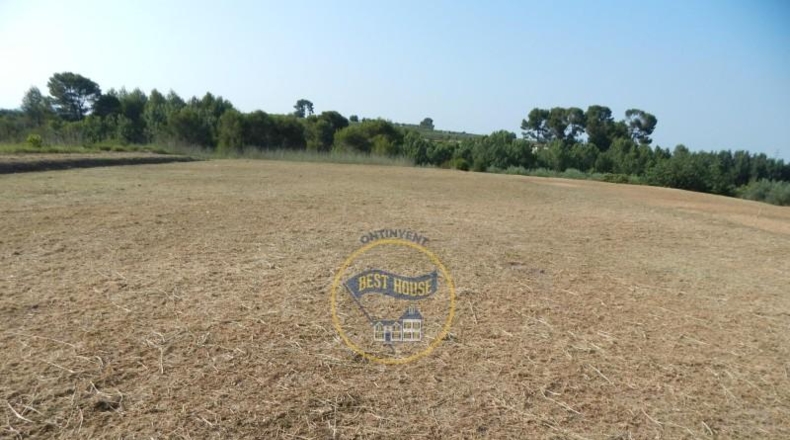 València - Albaida - 14943m2