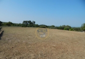 Terreno no urbanizable en venta en la España, Albaida, ref: TR123033 foto