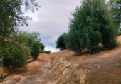 Terreno no urbanizable en venta en la España, Quéntar, ref: TR314710 foto