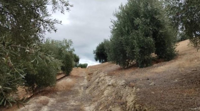Granada - Quéntar - 17313m2