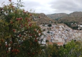 Terreno no urbanizable en venta en la España, Quéntar, ref: TR314710 foto