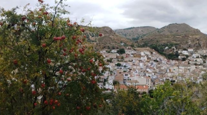 Granada - Quéntar - 17313m2