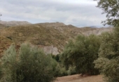 Terreno no urbanizable en venta en la España, Quéntar, ref: TR314710 foto
