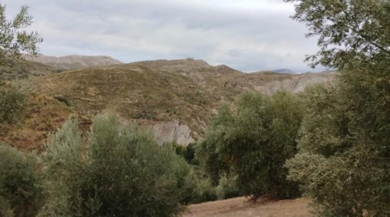 Granada - Quéntar - 17313m2