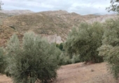 Terreno no urbanizable en venta en la España, Quéntar, ref: TR314710 foto