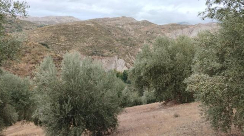 Granada - Quéntar - 17313m2